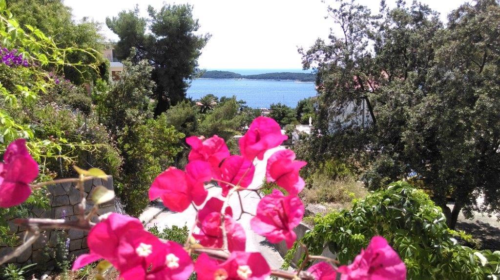 Apartments Lucic Hvar Town Buitenkant foto